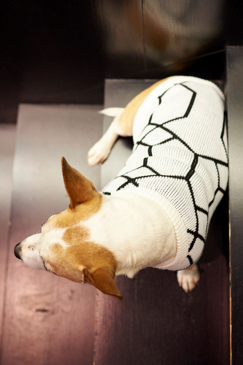 The Harper Knitted Dog Jersey – Lucky and Lou