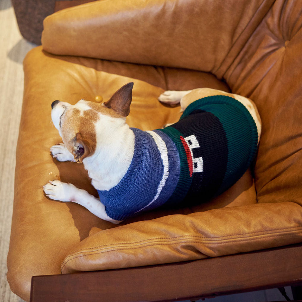 Hudson bay dog sweater sale